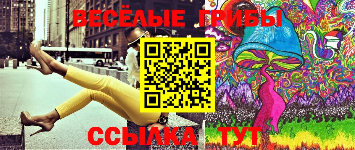 Муром  Псилоцибиновые грибы Psilocybe  купить наркоту  Вход с VPN  Псилоцибиновые грибы мицелий 